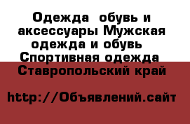 Одежда, обувь и аксессуары Мужская одежда и обувь - Спортивная одежда. Ставропольский край